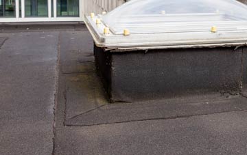 disadvantages of Toad Row flat roofs