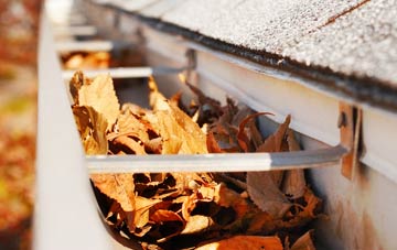 Toad Row gutter cleaning companies