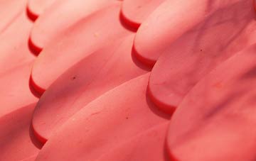 Toad Row plastic roof costs