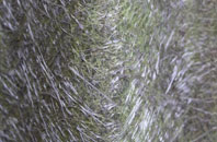 Toad Row fibreglass roof work