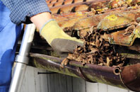 Toad Row gutter cleaners