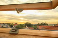 rated Toad Row roof window companies